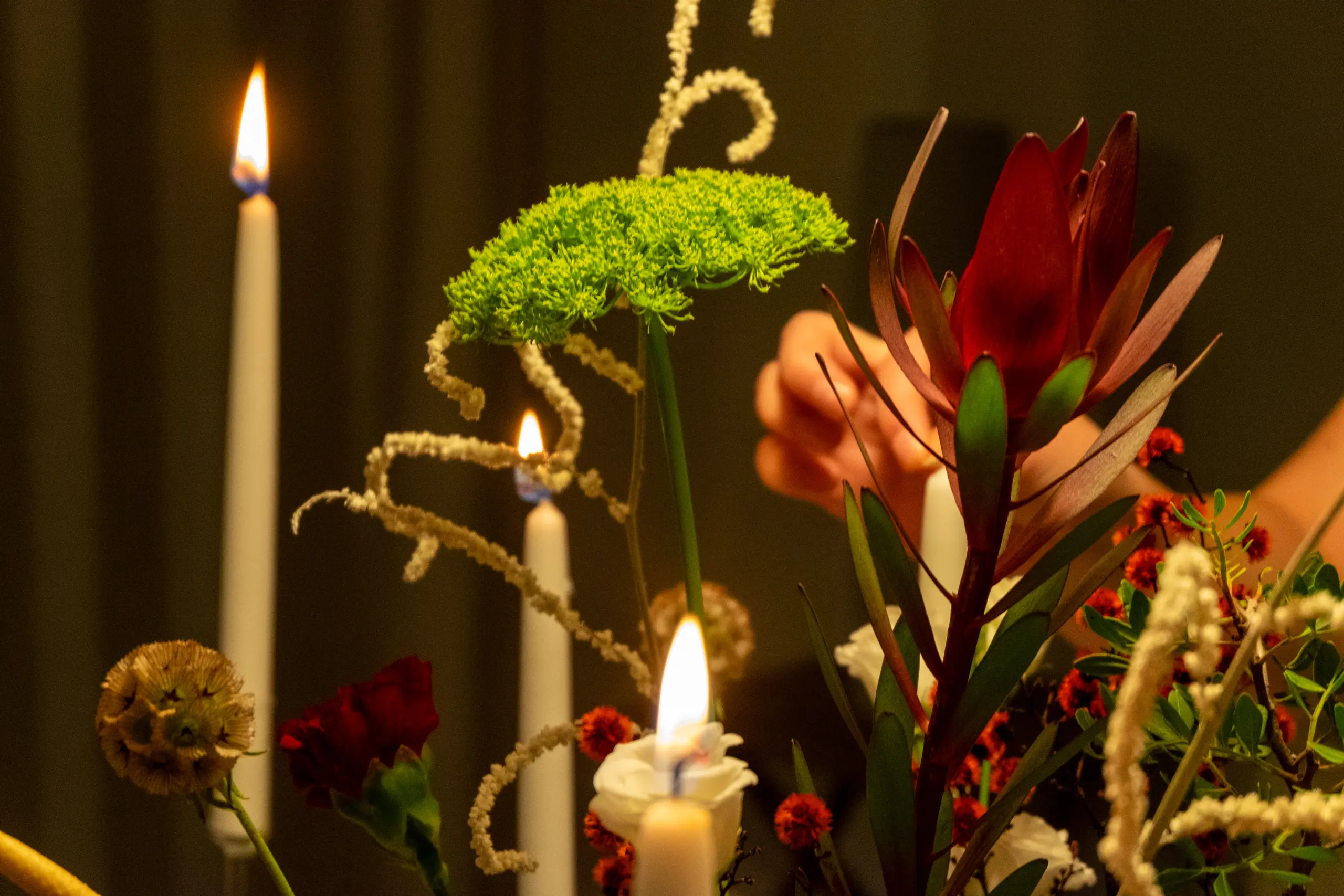 Culinaire presentatie op tafel